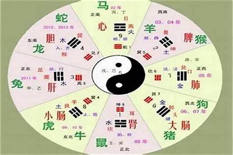 黃的五行|黄字的五行属什么